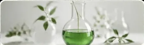 Kultur Laboratorium Bio-Agro