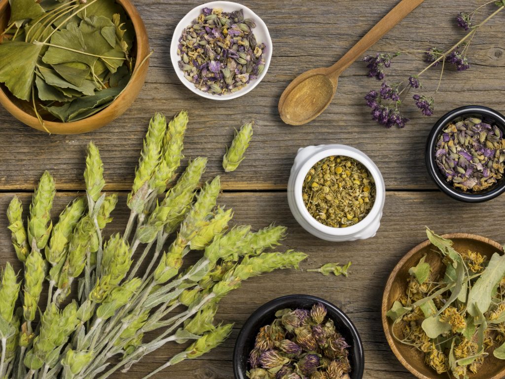 tanaman herbal yang memiliki khasiat untuk membantu meredakan stres